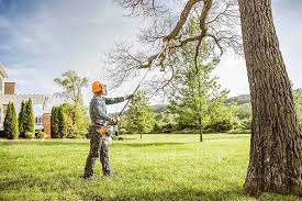 Best Aeration Services  in Weed, CA