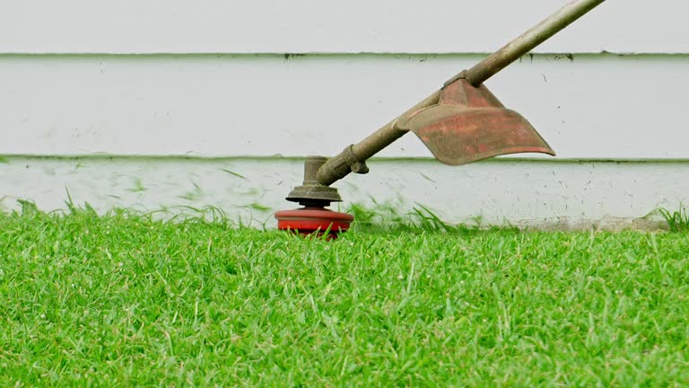 Best Seasonal Cleanup (Spring/Fall)  in Weed, CA