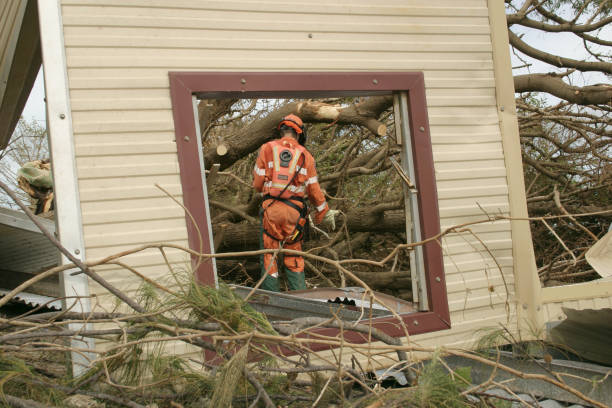 Best Root Management and Removal  in Weed, CA