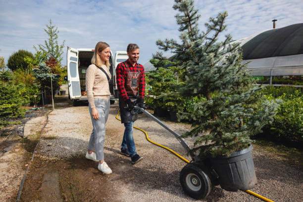 Best Lawn Maintenance Plans  in Weed, CA